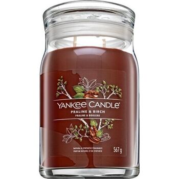 Praline & Birch Signature Candle (pralinka a breza) - Vonná sviečka
